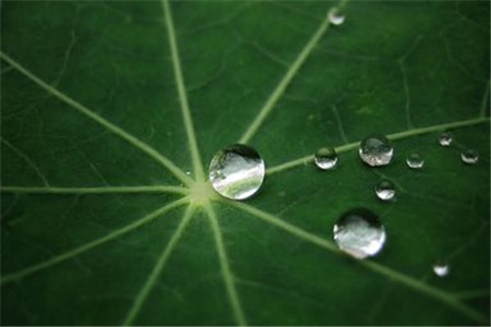 黑龍江自考本科的畢業(yè)證和學位證有什么區(qū)別?