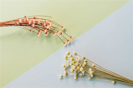 黑龍江自考學歷國家承認嗎？
